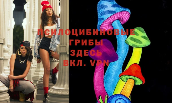 PSILOCYBIN Мегион