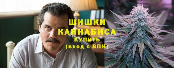 ГАЛЛЮЦИНОГЕННЫЕ ГРИБЫ Билибино