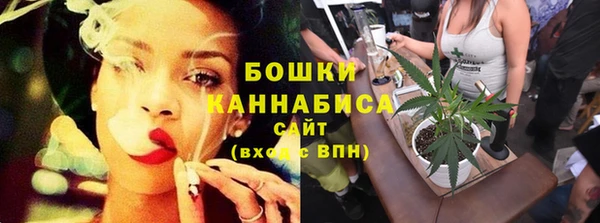 гидра Бикин