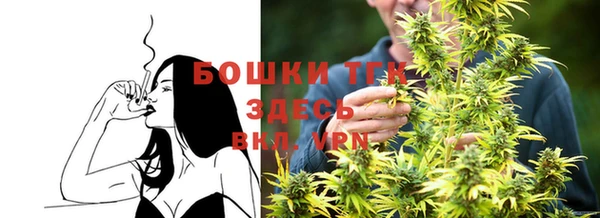 шишки Михайловка